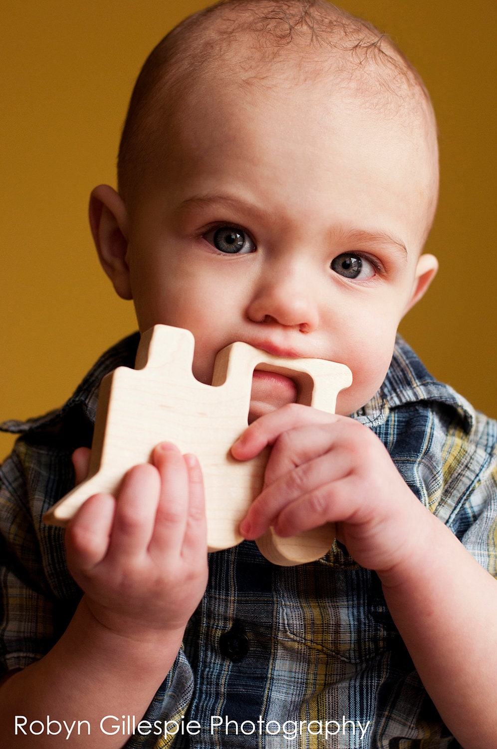 Wood Teether Oklahoma wooden natural baby toy
