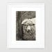 Sheep Photography, Black and White Print, Monochromatic art, Animal Photograph, nature print, wall art - 8x12