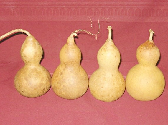 Four Thick Shelled Bottle Snowman Gourds (Item  21)