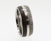 Titanium Wedding Ring inlaid with Dinosaur Bone and Meteorite - accented by a Yellow Gold Pinstripe