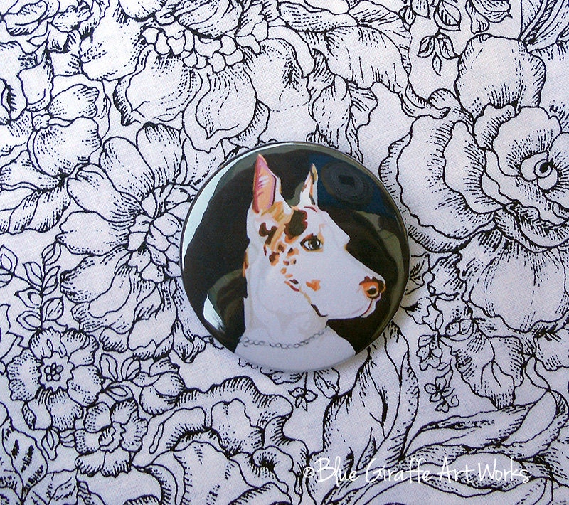 Handmade Pin Back Button featuring an original portrait of a Great Dane