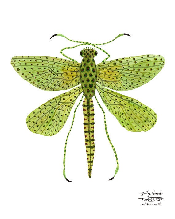 damselfly specimen giclee archival art print