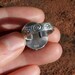 Sea Stars and Pebbles Ring Size 6.5