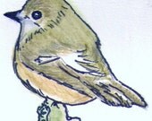 Pied Flycatcher Ink and Watercolor original ACEO