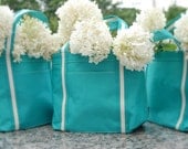 Custom list for 10 - Tiffany & Co Blue - Personalized Bag - Mini Tote
