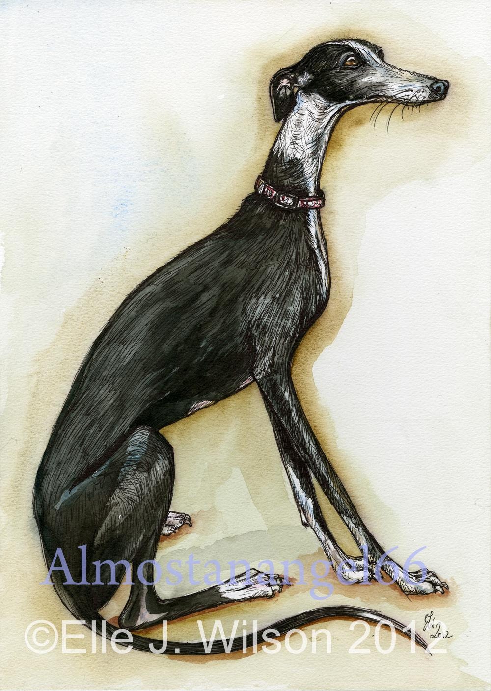 A Little Forgiving - Whippet Hound Art DogPrint
