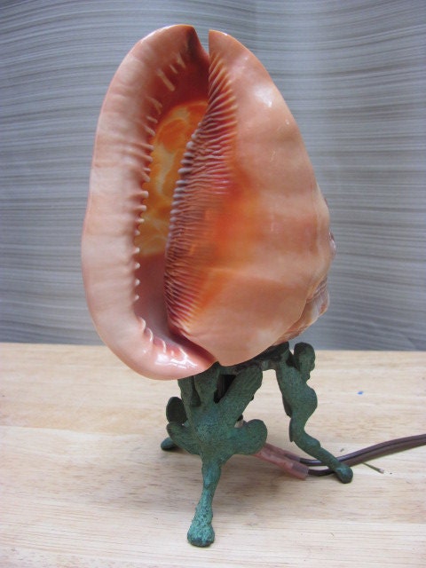 carved conch shell