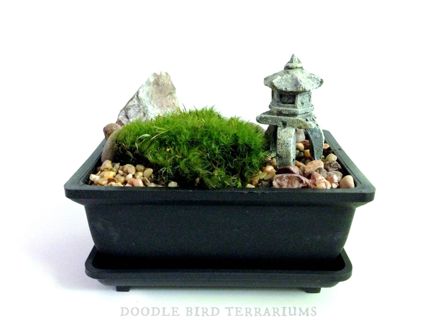 Bonsai Kit / Miniature Pagoda Lantern / Kyoto Moss / Zen Garden Planter