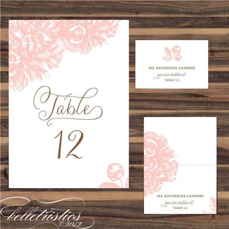 Wedding Reception Stationery - Printable DIY Designs- Pick 2 from the Swoon Suite