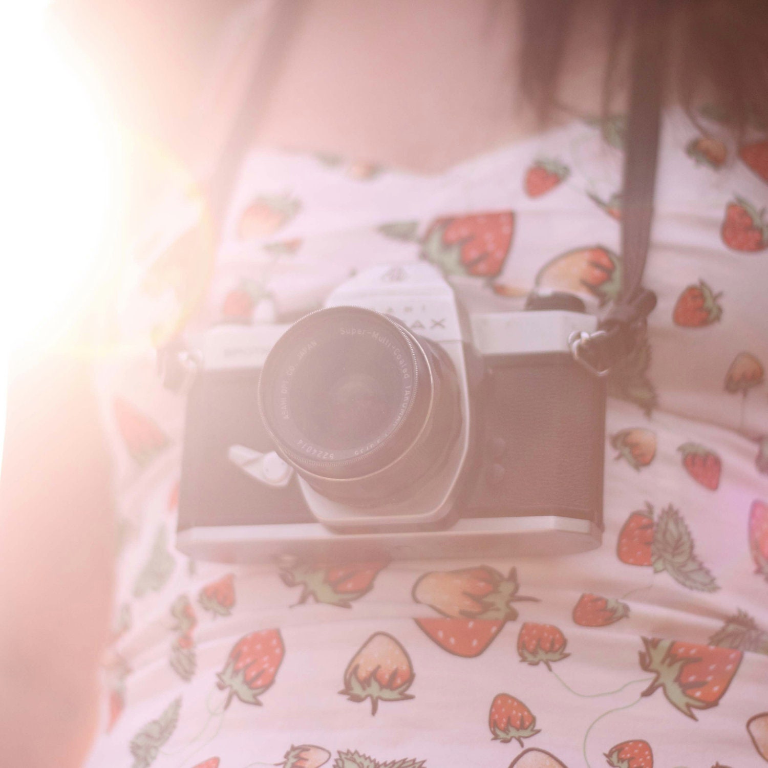 Camera Love... 5x5 inches Fine Art Photo Print