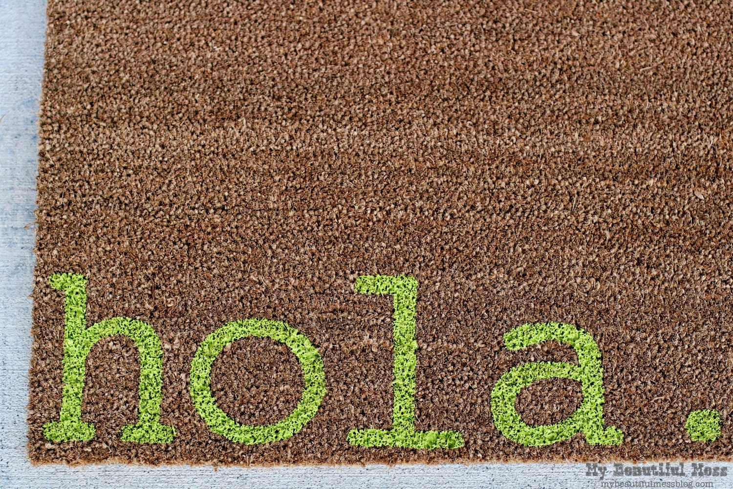 Witty Hand Painted Coir Welcome Mat - hola. - Choose Your Color