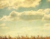 Nature Photography, Landscape, Yellow, Orange, Corn Field, Clouds, Wall Decor, Autumn - Cloud Watching (8x8) - Fine Art Print