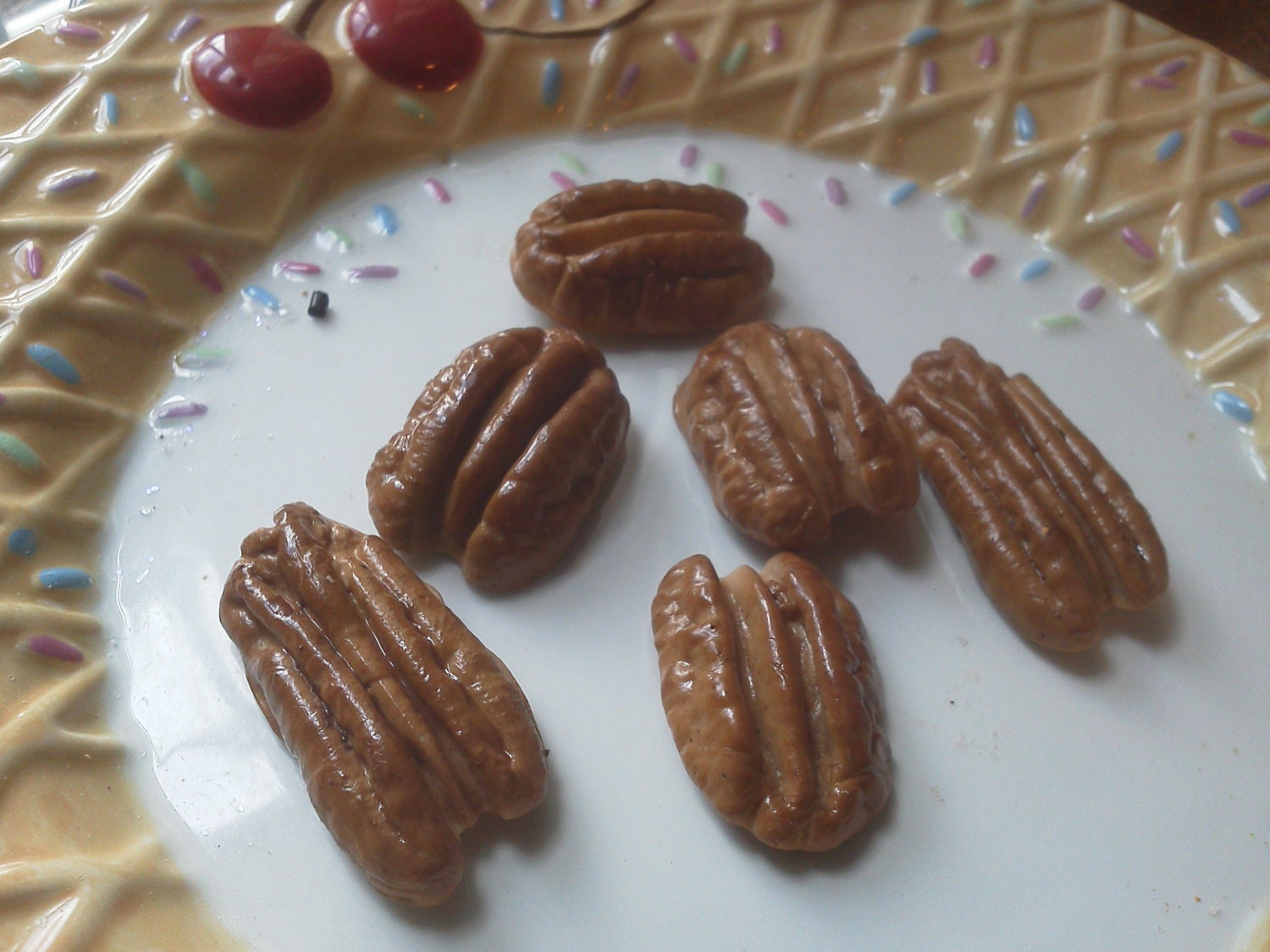 Pecan magnets 6pc Free shipping USA only