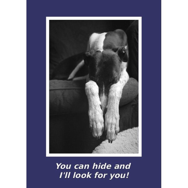Greyhound hide 'n' seek card - You can hide and I'll look for you