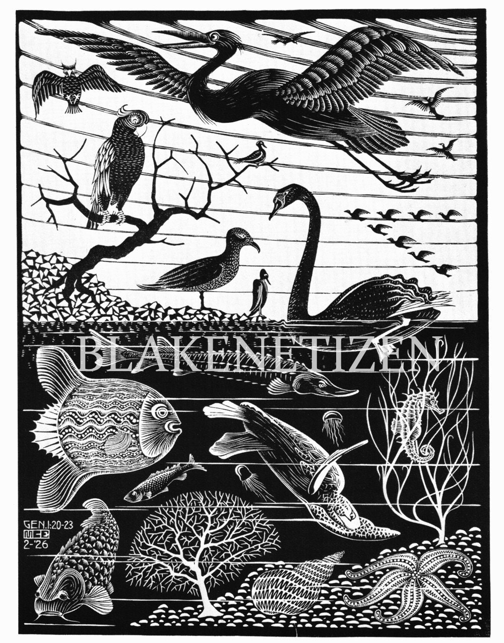 The Fifth Day of the Creation 1926 by MCE Vintage Illustration Art Print on Card stock