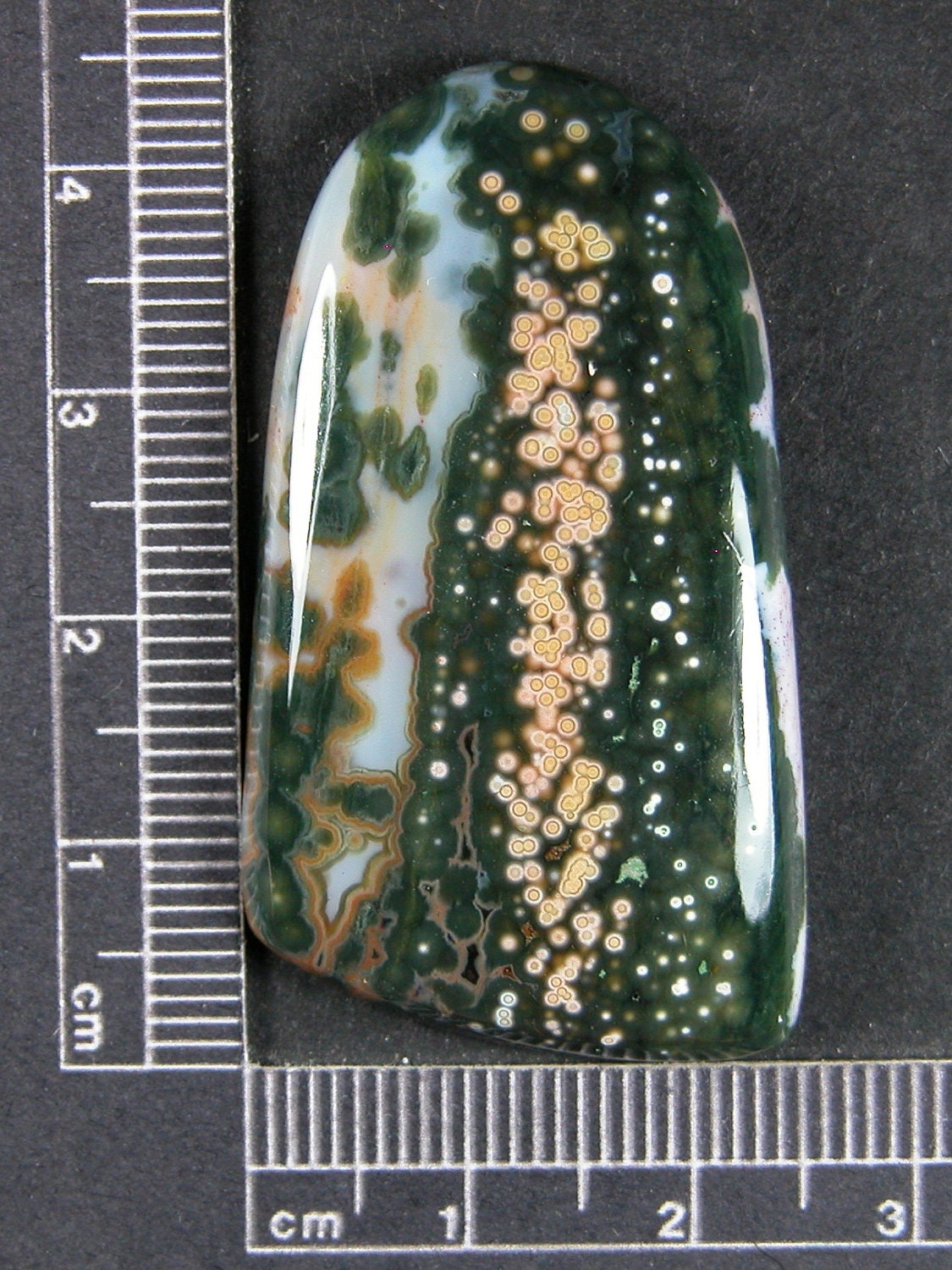 Ocean Jasper Cabochon Hand Cut JO225