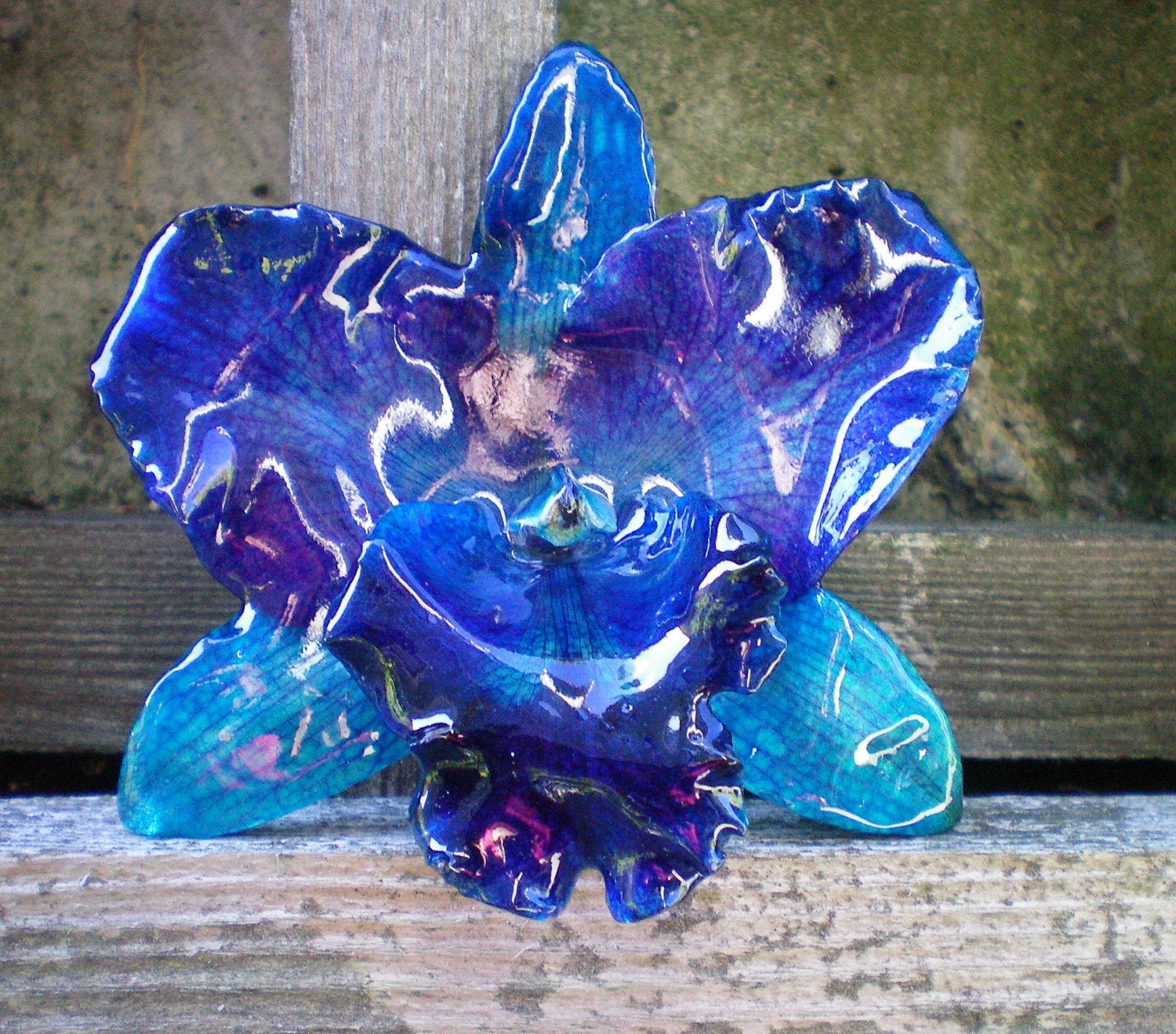 REAL Natural Bold Blue and Purple Peacock ORCHID in Poly Resin Pin and Pendant