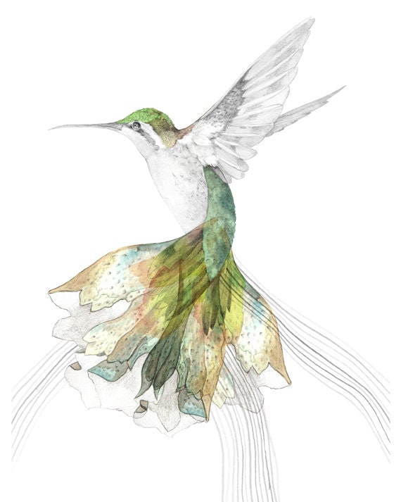 Bec's Hummingbird    A4 SIZE