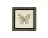 Framed Butterfly Taxidermy Mother of Pearl Underside