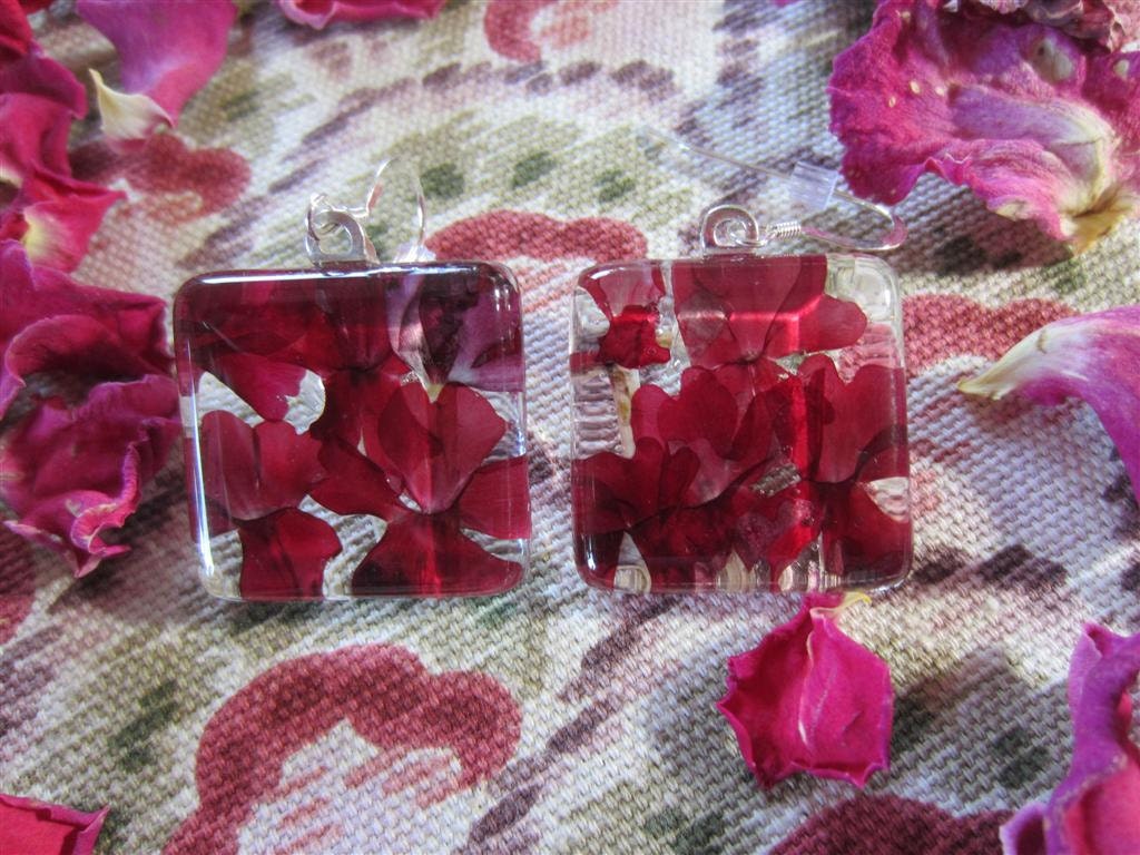 Ruby Red  pressed Verbena behind  1x1 inch handcut glass earrings. Sterling Wires.