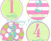 Baby GIrl Onesie Stickers Modern Girl Onsies 12 Montlhy Baby stickers. Baby Age Tags Pink and Turquoise Stickers Milestones