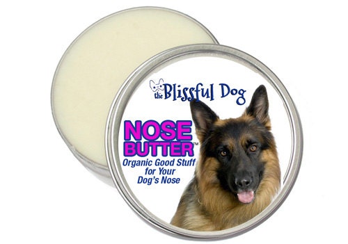 Τι μπορείτε να χρησιμοποιήσετε για την στεγνή μύτη του σκύλου...