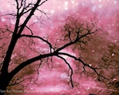 Dreamy Art Nature Photos - Surreal Tree Limbs Haunting Hearts, Ethereal Nature Trees, Fine Art Digital Painted Photo 9" x 12"