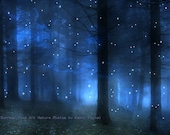 Nature Photography, Surreal Sparkling Blue Woodlands, Sparkle Stars Moon Lights, Surreal Fine Art Fantasy Photograph 9" x 12"