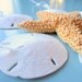 Beach Decor Shell Christmas Ornaments - Nautical Sand Dollar Holiday Ornaments, 1pc