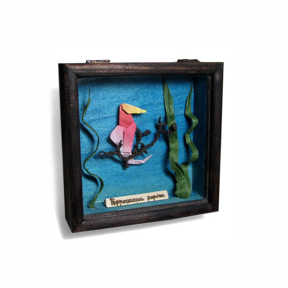 Origami Sea Horse Shadowbox - Hippocampus papyrus by Paper Disciple