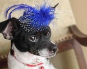 Cute blue   color  mini  hat with   feather and   flowers for dog or cat