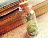 Miniature Cabinet of Curiosity Necklace - Bird and Moss - Terrarium Necklace - Whimsical Salvage Vial Jewelry