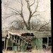 Dark Fairy Tale Photograph "House Where Nobody Lives" Shabby Rustic Haunted Forest Woodland Photograph
