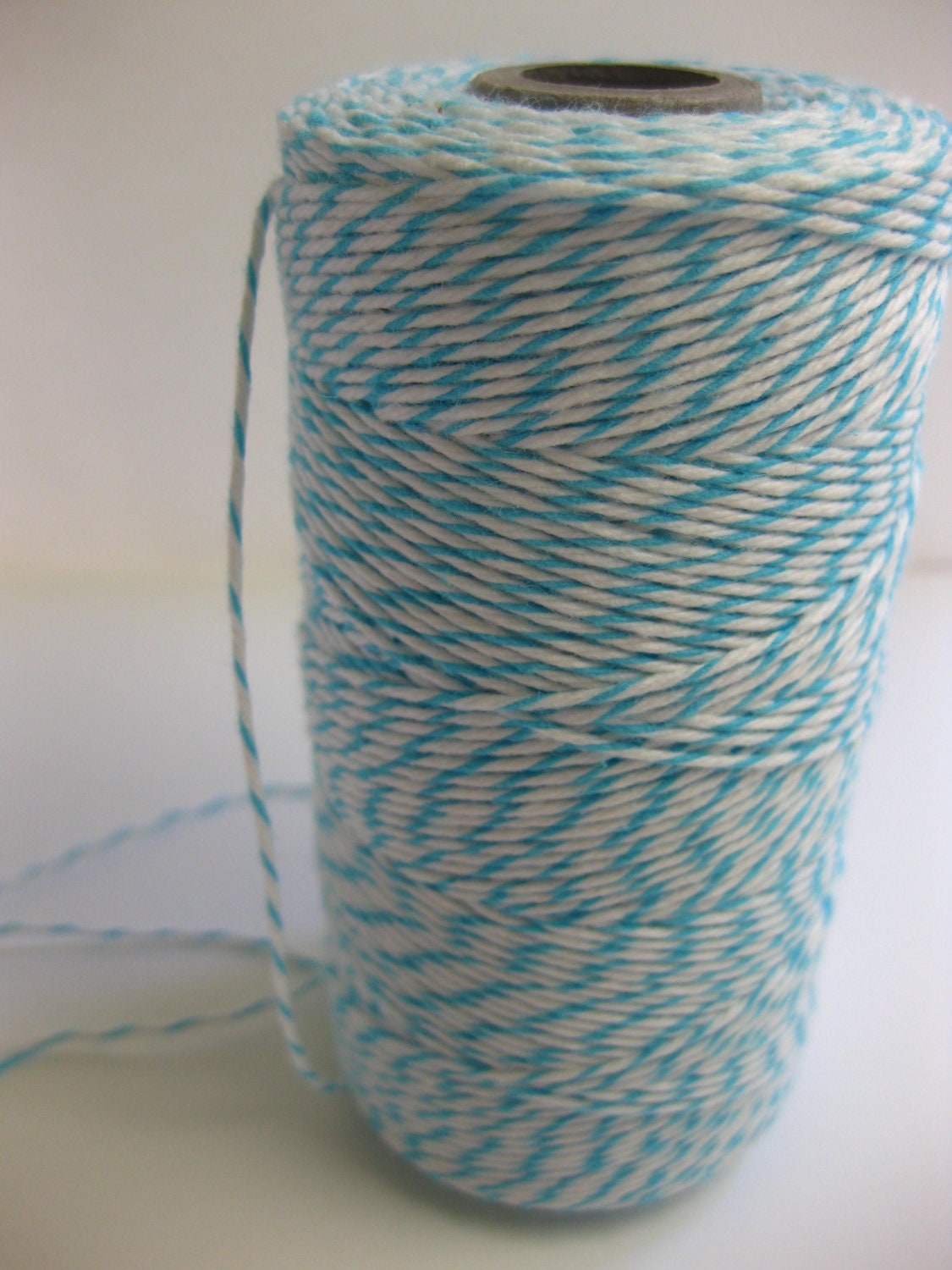 Aqua and White Cotton Divine Twine Bakers Twine 30 Yards