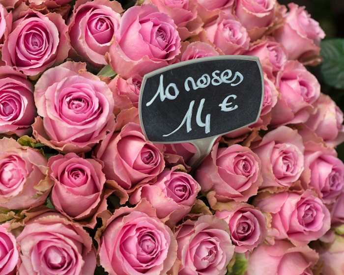 Paris Roses Photography - Pink Roses in Parisian Flower Market, France, French Travel Photograph