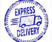 Express Delivery for Unicorn Horns- US only