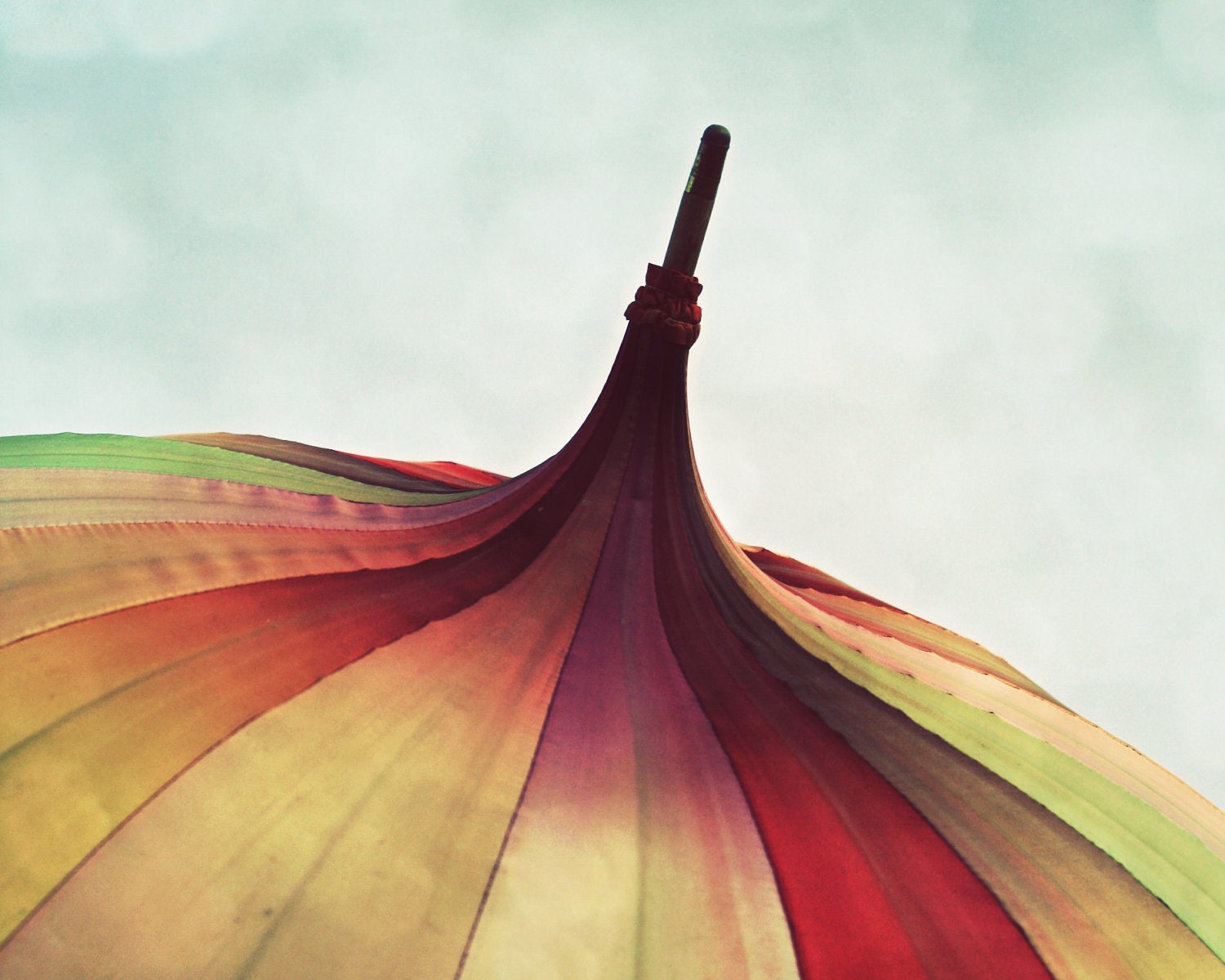Bumbershoot - Photography Print