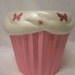 Flutterby Cupcake Jar Pink