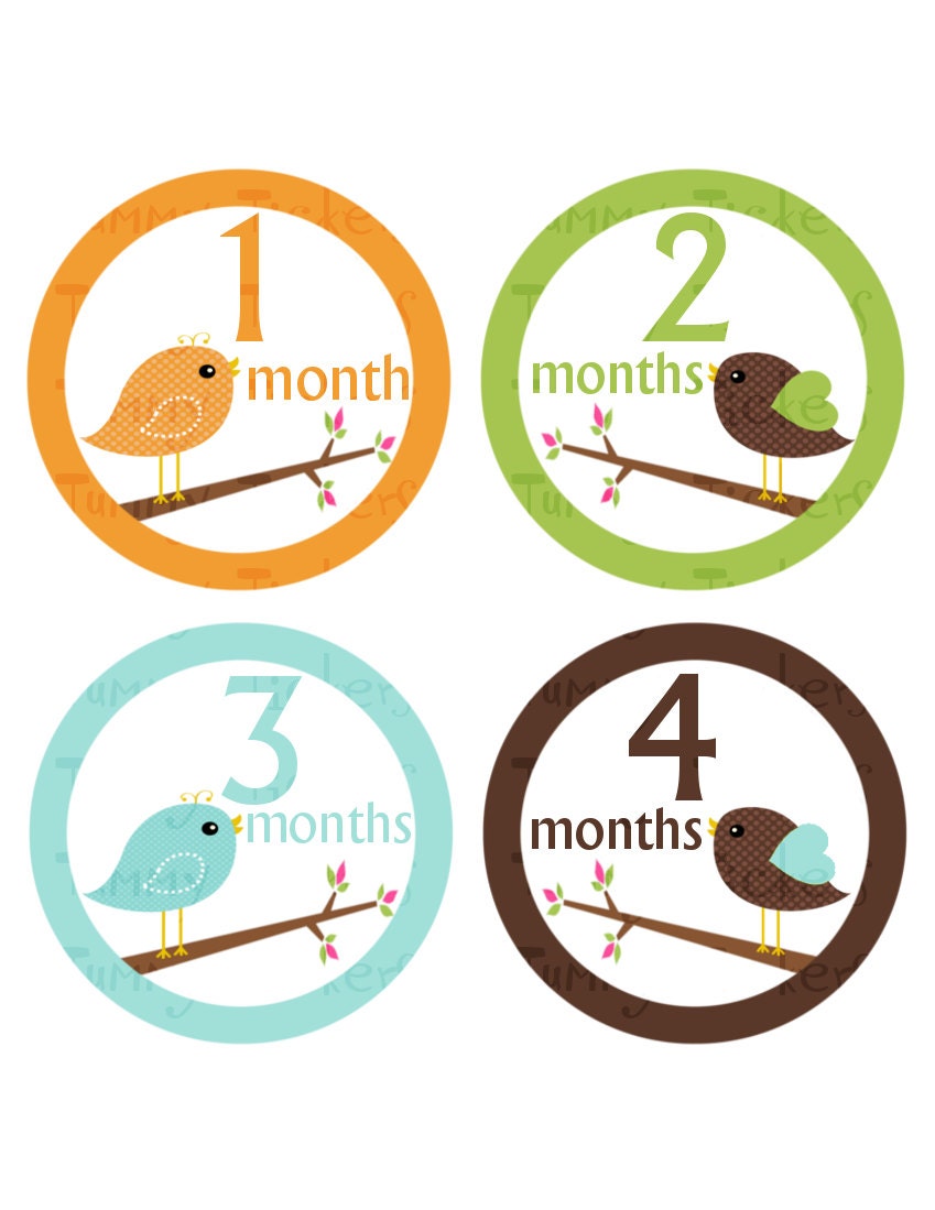 Monthly Onesie Stickers...Set of 12 Boys...Birds on Branches...Ready to Ship...Waterproof....Months 1-12