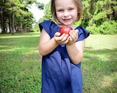 Green Apple Flutter Sleeve Dress - sizes newborn - Girls 12 - perfect for Back-to-School