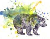 Grizzly Bear Art Original Watercolor Painting - Great Kids Childrens Wall Art Nursery Decor and Everyone Else