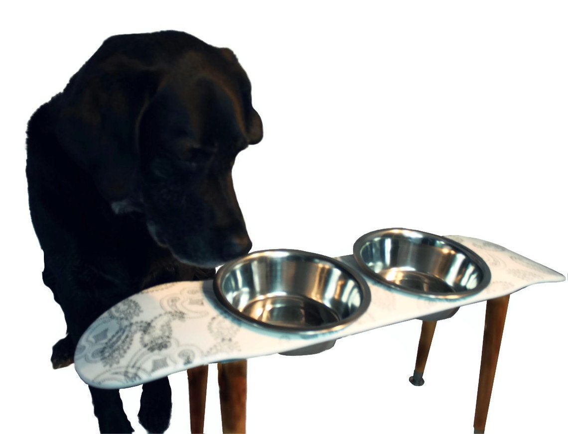 Dog Feeder / Raised Dog Feeder / Pet Feeder / Skateboard / Raised Dog Bowls / Skateboard Dog Feeder / Skateboard Deck
