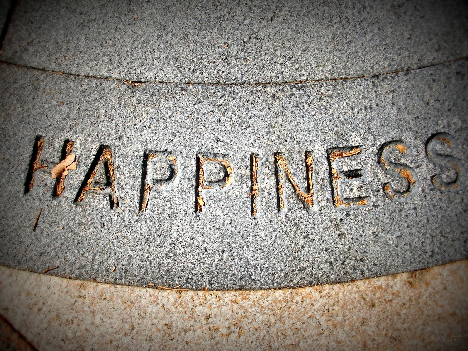 Photography Print 6x8 Stone Happiness