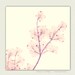Nature Photography - dogwood wall art, blush pink decor - Blush - feminine wall decor, girls room decor, botanical art, nature print