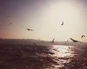 Istanbul  Fine Art Travel Photography - 8x12 inch Print