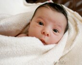 Organic Cotton Sherpa - Fat Quarter - Domestically Made GOTS Certified - Puffy Lofty Fleece Like Cotton