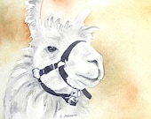 Original Llama Watercolor Painting