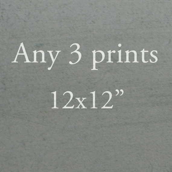 Any Three 12x12" Prints