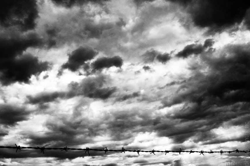 Barbed Wire Fence and Sky in Black and White - Fine Art Photo Print 12x8 inch Metallic - Signed Limited Edition