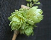 Boutonniere made of golf tee and hops.
